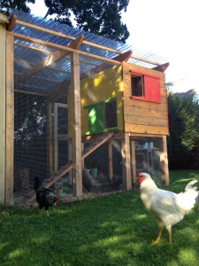 Chicken Coop Final Image small